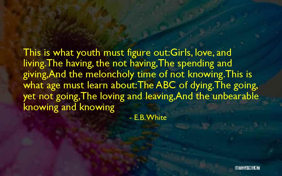Mirviss Marshal J Quotes By E.B. White Mirviss Marshal J Quotes By E.B. White