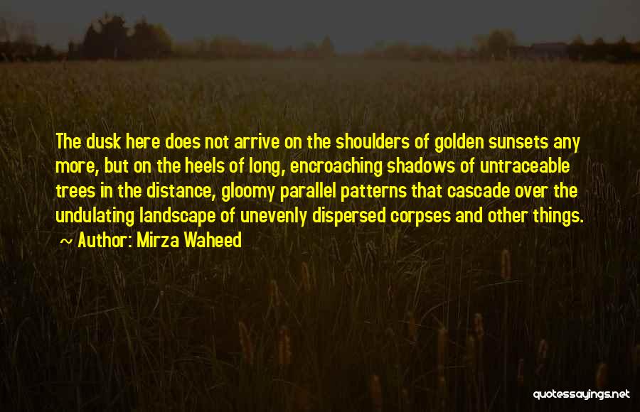 Mirza Waheed Quotes 676147