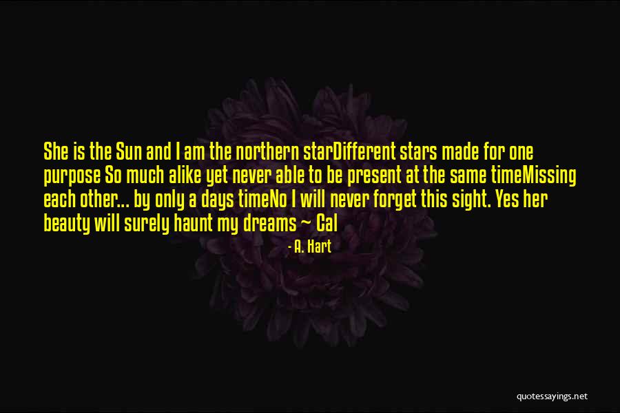 Mirzadeh Tennis Quotes By A. Hart Mirzadeh Tennis Quotes By A. Hart