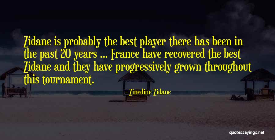 Misafirin Quotes By Zinedine Zidane Misafirin Quotes By Zinedine Zidane