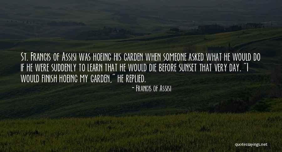 Misagh Sadat Quotes By Francis Of Assisi Misagh Sadat Quotes By Francis Of Assisi