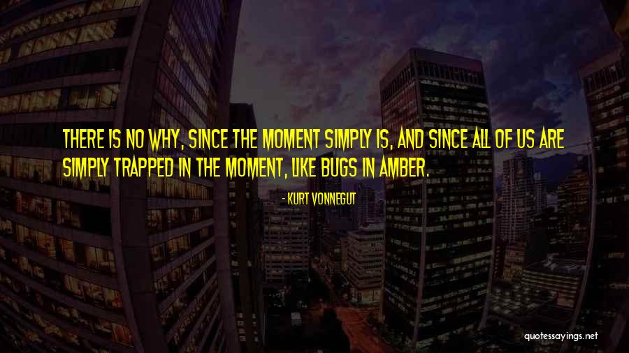 Misattributed To Anne Lamott Quotes By Kurt Vonnegut Misattributed To Anne Lamott Quotes By Kurt Vonnegut