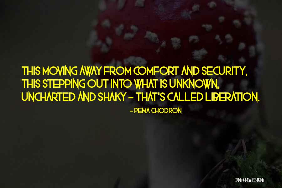 Misbehave Synonym Quotes By Pema Chodron Misbehave Synonym Quotes By Pema Chodron