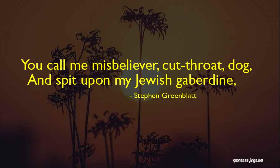 Misbeliever Quotes By Stephen Greenblatt Misbeliever Quotes By Stephen Greenblatt