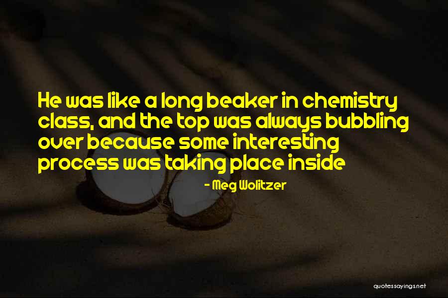 Miscalculate In A Way Quotes By Meg Wolitzer Miscalculate In A Way Quotes By Meg Wolitzer
