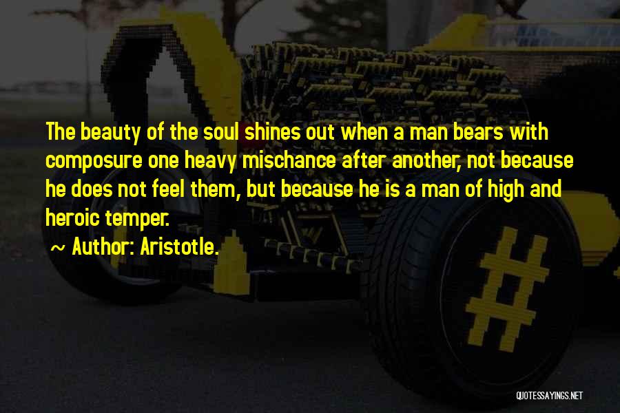 Mischance Quotes By Aristotle.