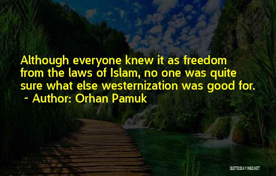 Mischnick Construction Quotes By Orhan Pamuk