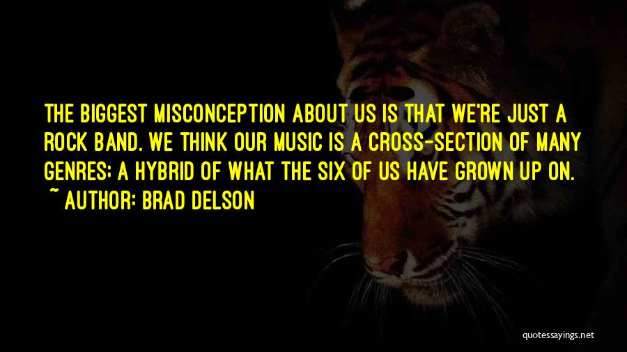Misconception About Me Quotes By Brad Delson
