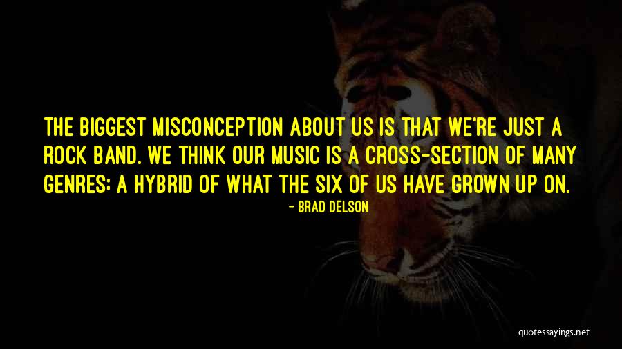 Misconception About Me Quotes By Brad Delson