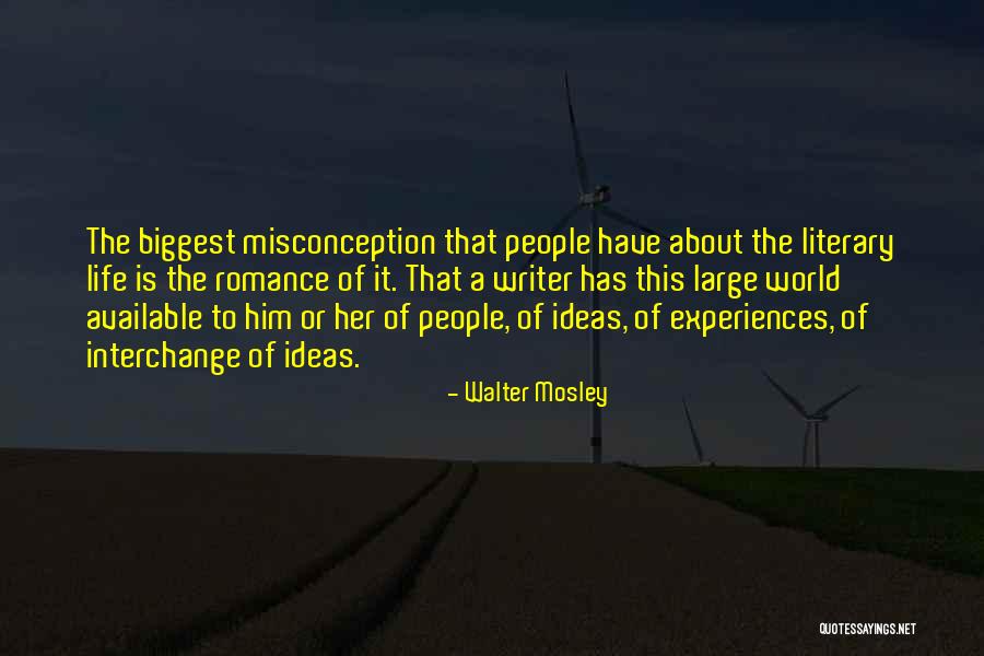 Misconception About Me Quotes By Walter Mosley