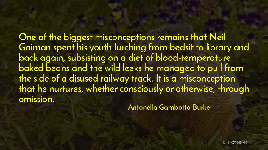 Misconception Quotes By Antonella Gambotto-Burke Misconception Quotes By Antonella Gambotto-Burke