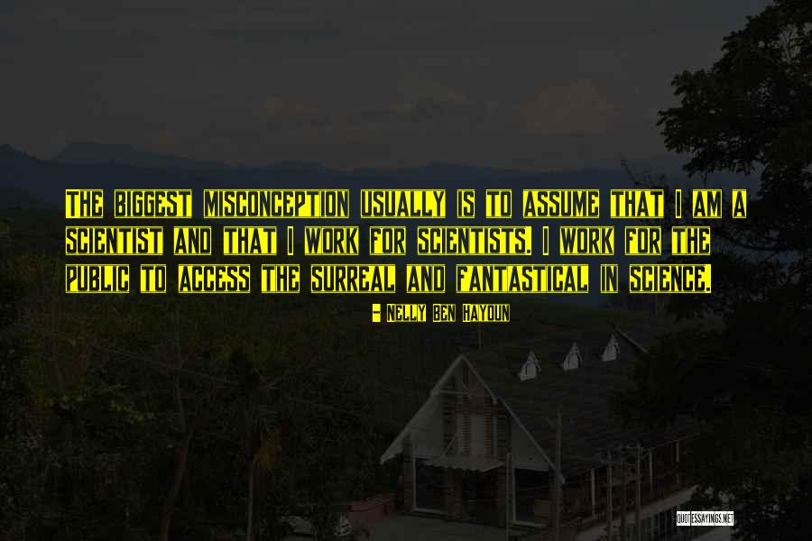 Misconception Quotes By Nelly Ben Hayoun Misconception Quotes By Nelly Ben Hayoun