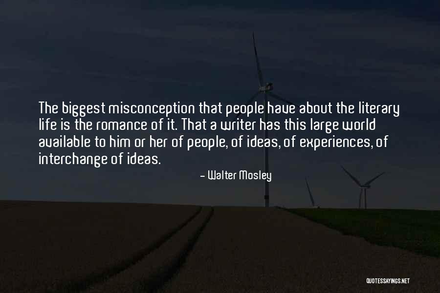 Misconception Quotes By Walter Mosley