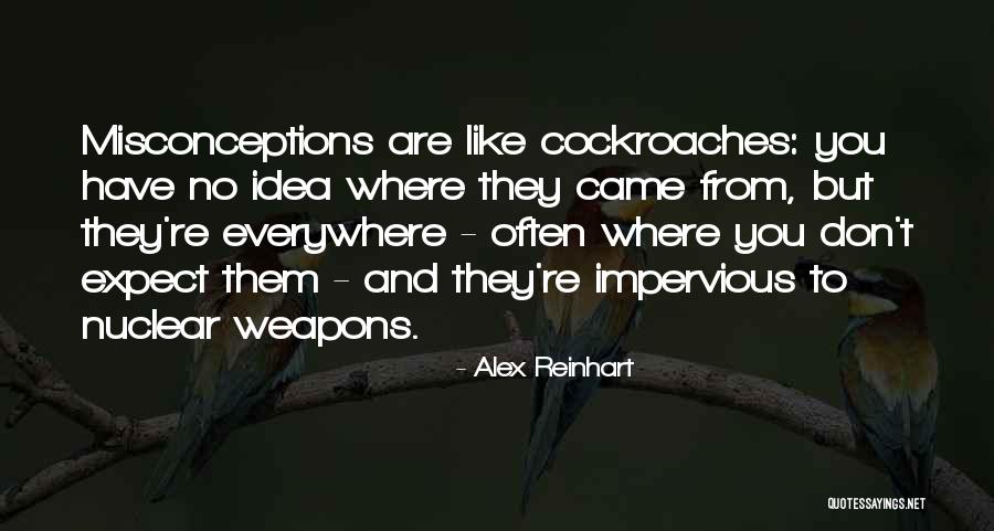 Misconceptions Quotes By Alex Reinhart Misconceptions Quotes By Alex Reinhart