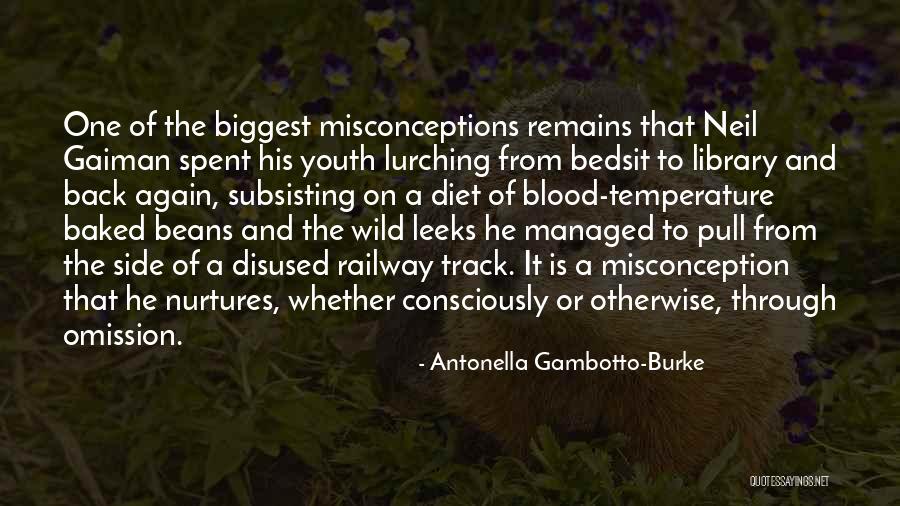 Misconceptions Quotes By Antonella Gambotto-Burke Misconceptions Quotes By Antonella Gambotto-Burke