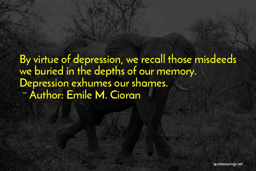 Misdeeds Quotes By Emile M. Cioran