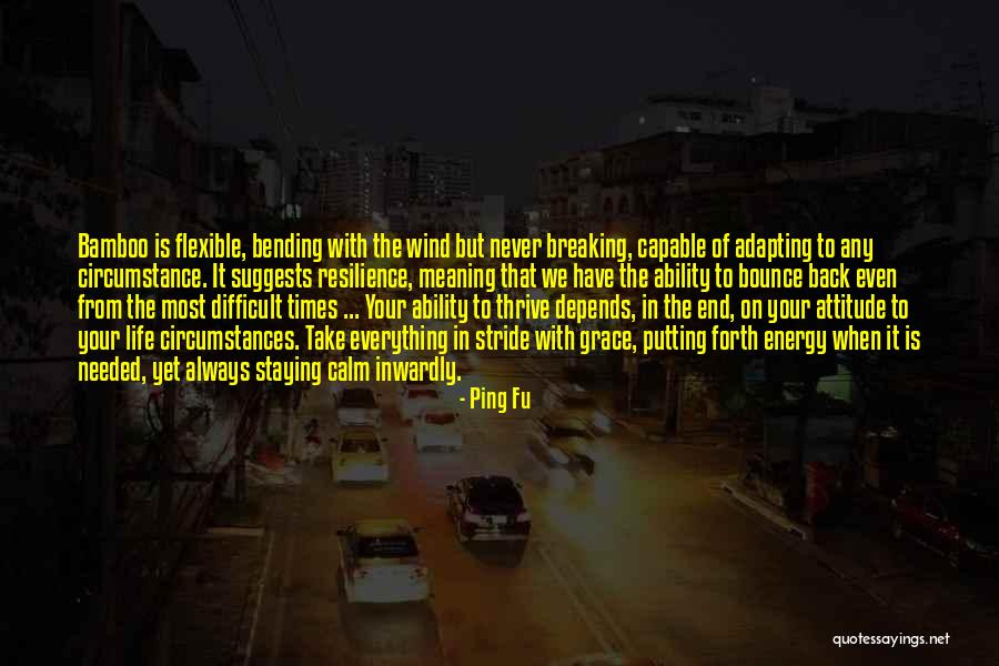 Misegades Rodeo Quotes By Ping Fu Misegades Rodeo Quotes By Ping Fu