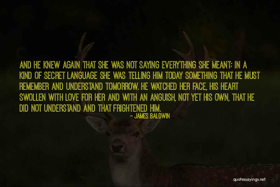 Misener Bridge Quotes By James Baldwin Misener Bridge Quotes By James Baldwin