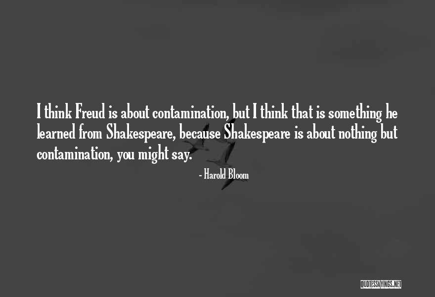 Miserendino Buffalo Quotes By Harold Bloom Miserendino Buffalo Quotes By Harold Bloom