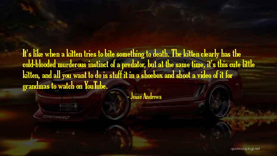 Miserrima Quotes By Jesse Andrews Miserrima Quotes By Jesse Andrews