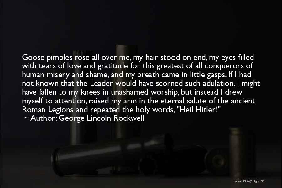 Misery And Love Quotes By George Lincoln Rockwell
