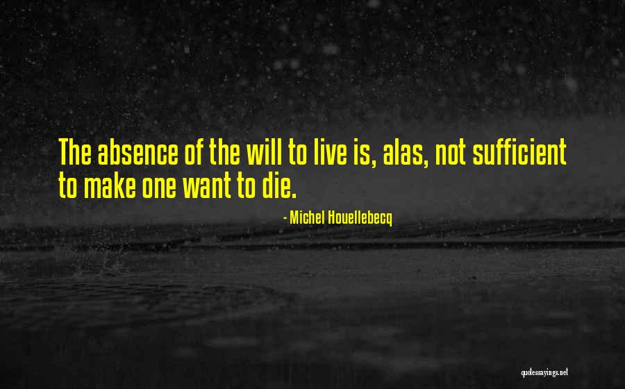Misery Quotes By Michel Houellebecq Misery Quotes By Michel Houellebecq