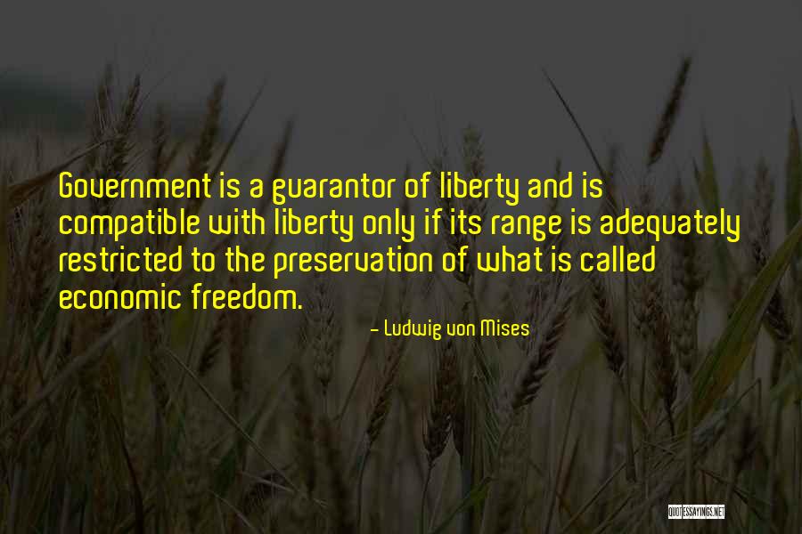 Mises Government Quotes By Ludwig Von Mises