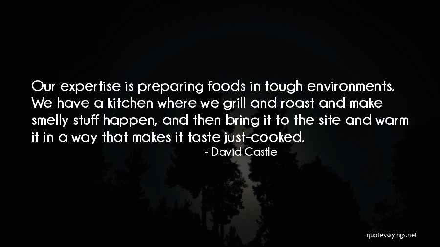 Misfiring Hormones Quotes By David Castle Misfiring Hormones Quotes By David Castle