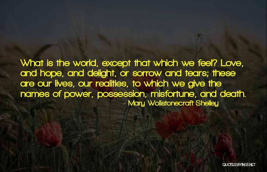 Misfortune Love Quotes By Mary Wollstonecraft Shelley