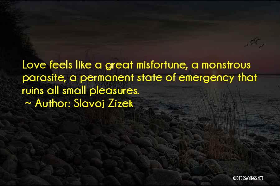 Misfortune Love Quotes By Slavoj Zizek