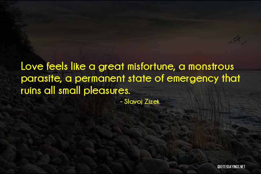 Misfortune Love Quotes By Slavoj Zizek