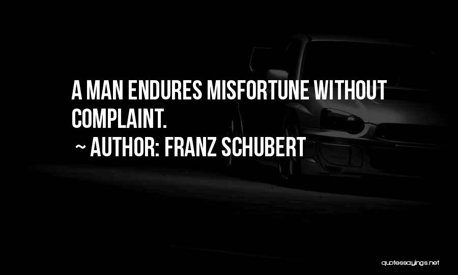 Misfortune Quotes By Franz Schubert