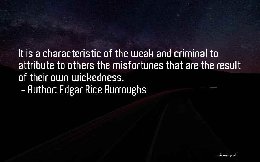 Misfortunes Of Others Quotes By Edgar Rice Burroughs