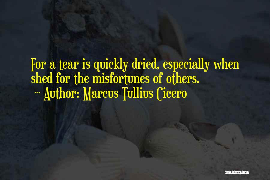 Misfortunes Of Others Quotes By Marcus Tullius Cicero