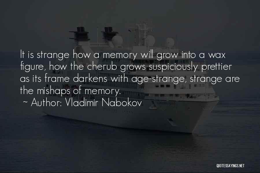 Mishaps Quotes By Vladimir Nabokov