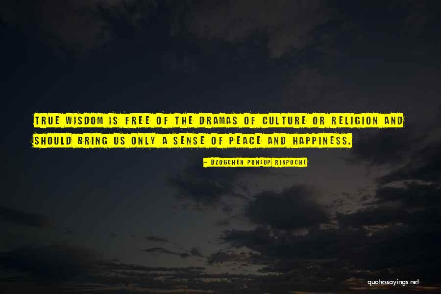 Mishasf Quotes By Dzogchen Ponlop Rinpoche Mishasf Quotes By Dzogchen Ponlop Rinpoche