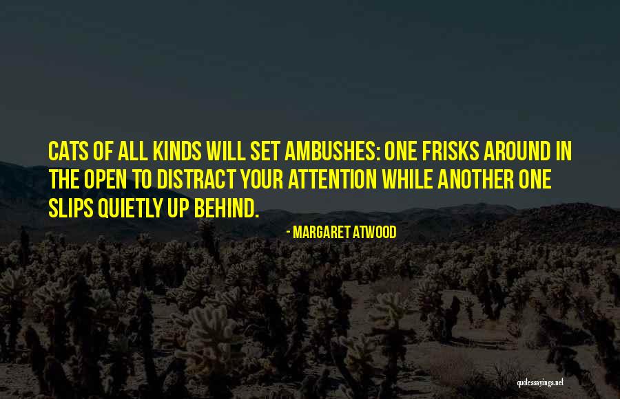 Mishima Ceramics Quotes By Margaret Atwood