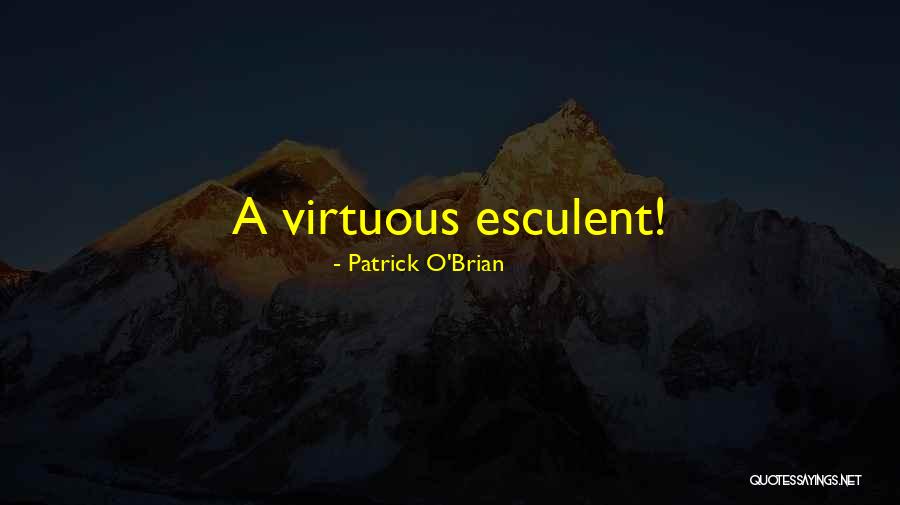 Mishimoto Intercooler Quotes By Patrick O'Brian