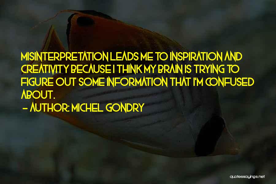Misinterpretation Quotes By Michel Gondry