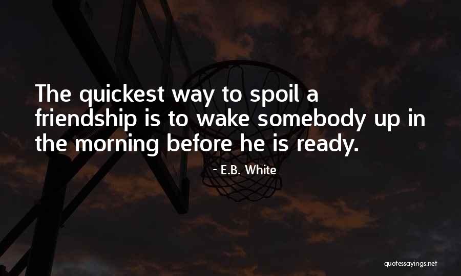 Misioneros Quotes By E.B. White Misioneros Quotes By E.B. White