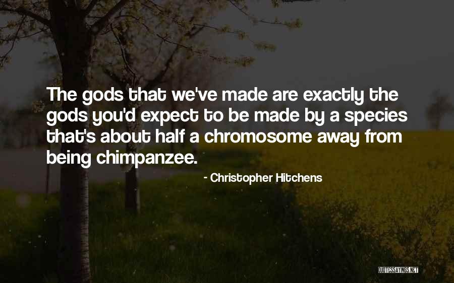 Misiti Doi Quotes By Christopher Hitchens Misiti Doi Quotes By Christopher Hitchens