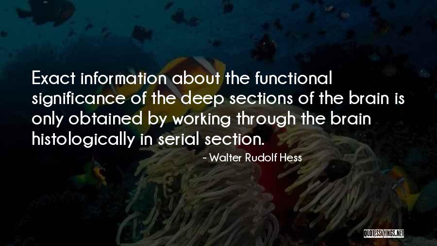 Miskito Quotes By Walter Rudolf Hess Miskito Quotes By Walter Rudolf Hess