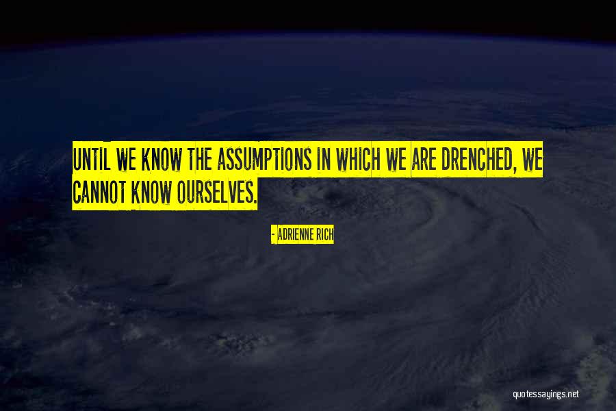 Misleadingly Quotes By Adrienne Rich Misleadingly Quotes By Adrienne Rich