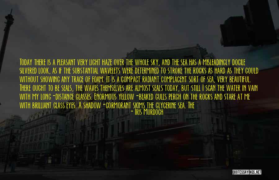 Misleadingly Quotes By Iris Murdoch Misleadingly Quotes By Iris Murdoch
