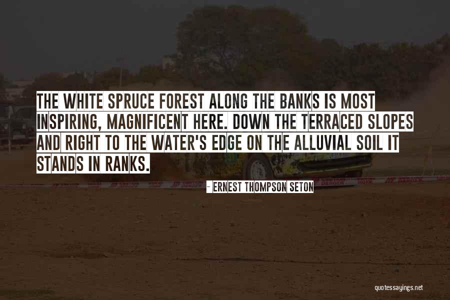 Mislilac Skulptura Quotes By Ernest Thompson Seton Mislilac Skulptura Quotes By Ernest Thompson Seton