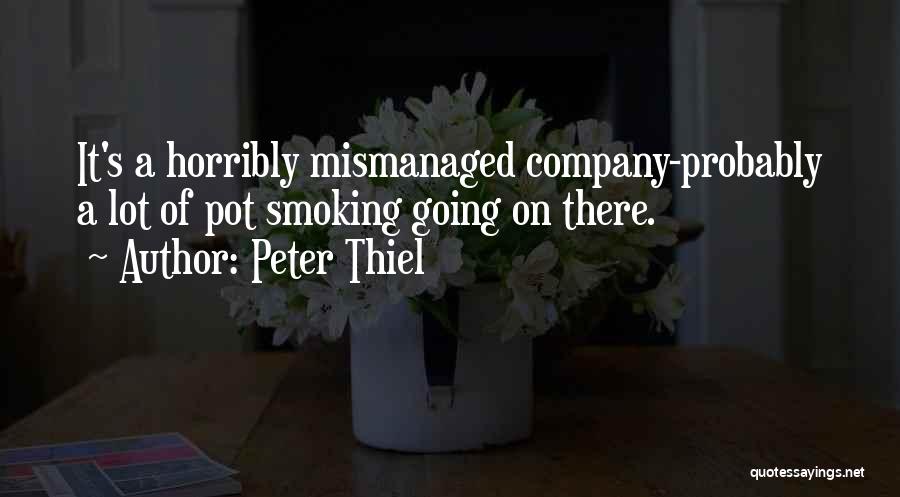 Mismanaged Quotes By Peter Thiel