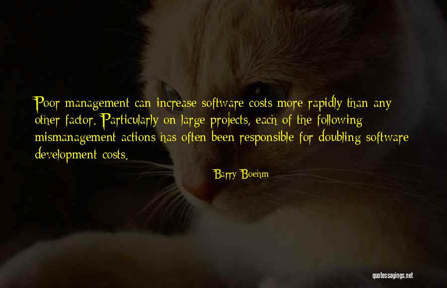 Mismanagement Quotes By Barry Boehm