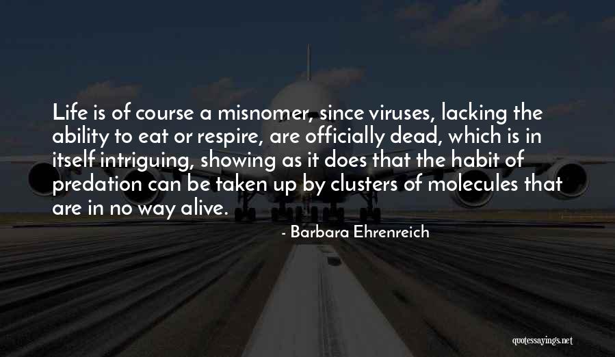 Misnomer Quotes By Barbara Ehrenreich Misnomer Quotes By Barbara Ehrenreich