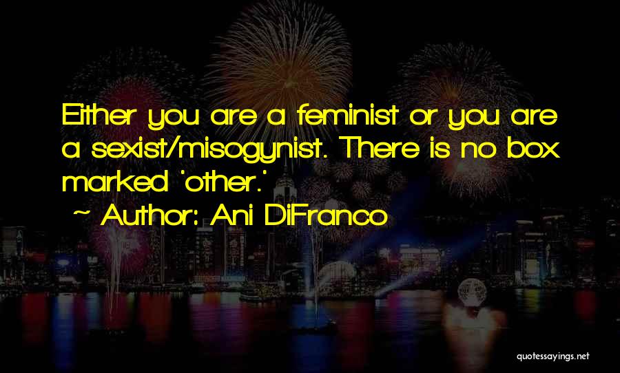 Misogynist Quotes By Ani DiFranco