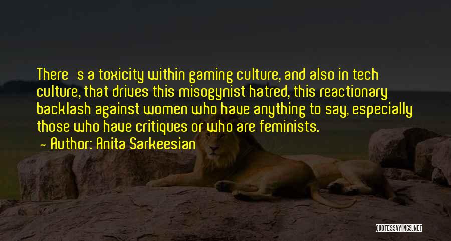 Misogynist Quotes By Anita Sarkeesian